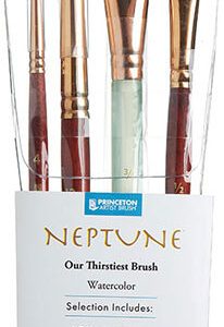 SET PROFESIONAL 4 PIEZAS – NEPTUNE PRINCETON