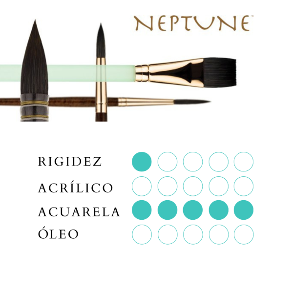 SET PROFESIONAL 4 PIEZAS – NEPTUNE PRINCETON - Imagen 2