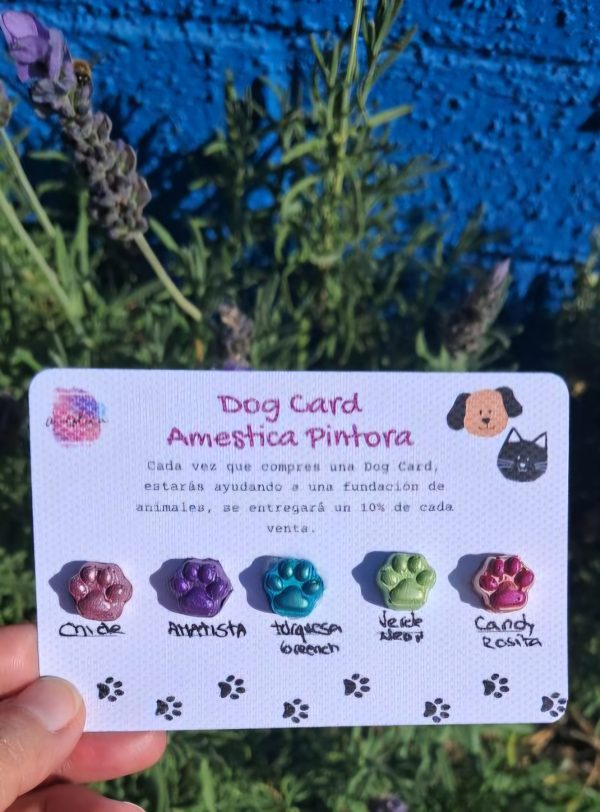 Dog Card Patitas de Color!